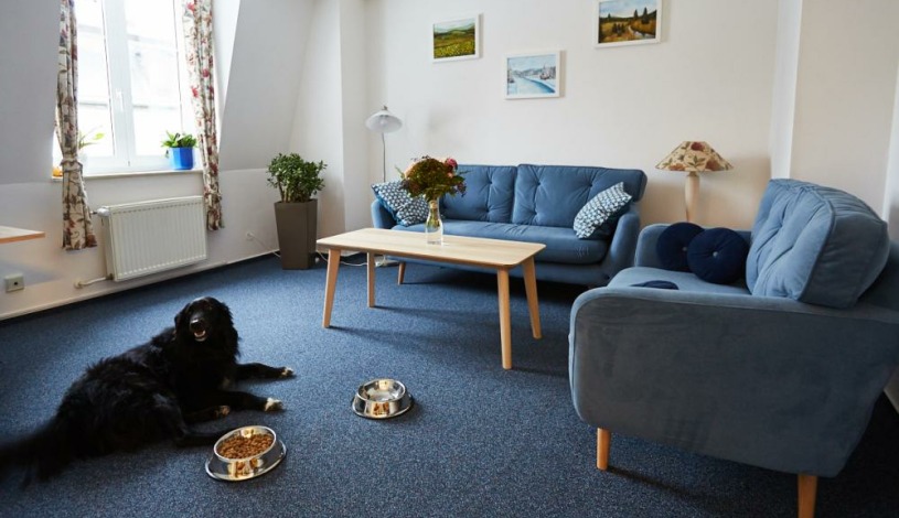 Hotel Rehavital  Jablonec nad Nisou